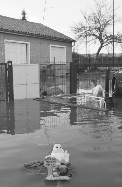 Voir le diaposrama sur les dégats de la tempête Xynthia